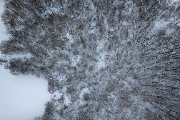 istock snowy mountain winter white landscape Vezzolacca , Emilia Romagna, Italy 1482749159