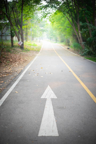 istock Road in forest with arrow sign 1482751862