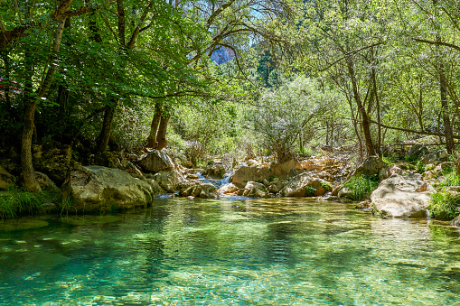 River passing in the Cerrada de Utrero in Sierra Cazorla, Segura y Las Villas Natural Park. Declared a Biosphere Reserve by UNESCO. Located in the province of Jaen, Andalusia, Spain