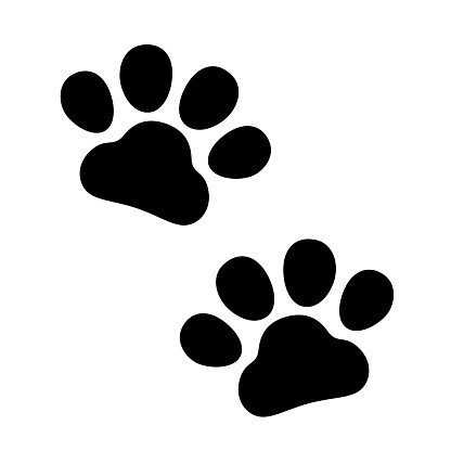Clip art of cat footprints.