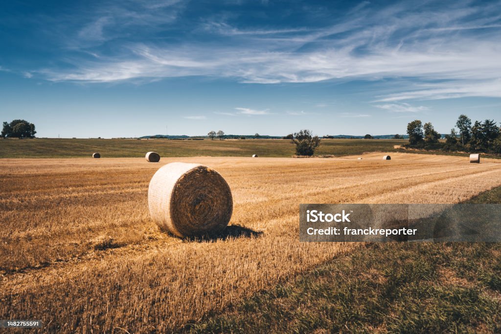 heybales in the france countryside Bale Stock Photo