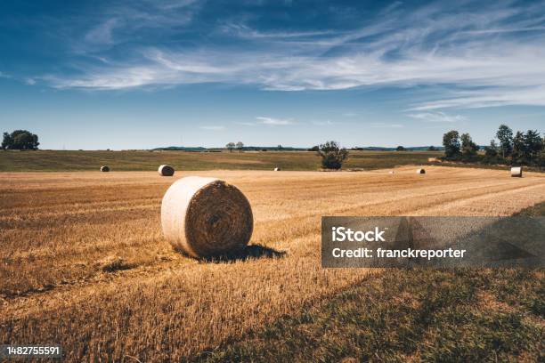 Heybales In The France Countryside Stock Photo - Download Image Now - Bale, Agricultural Field, Agriculture