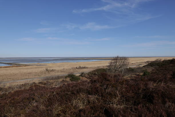 istock Sunny winter day in Cuxhaven on the North Sea 1482755603