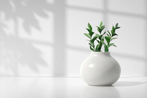 Kitchen counter with a modern decorative ceramic vase with green plants. Leaf and window shadows on the wall. Background for product display. 3D render.