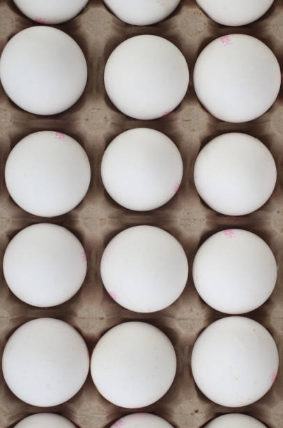 Top view of organic eggs in protective container .