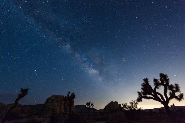 istock The Milky Way over Joshua Tree National Park 1482764059