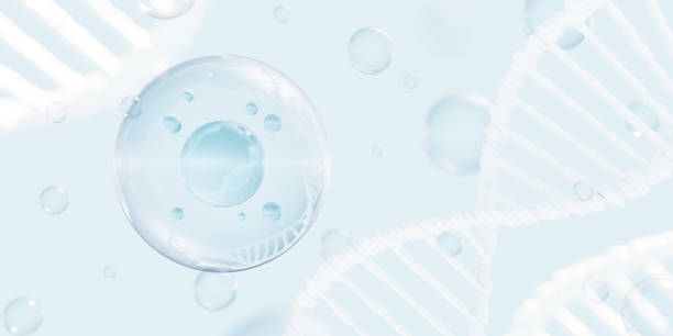 Abstract background with transparent spherical bubbles and DNA strands. 3d render stock photo