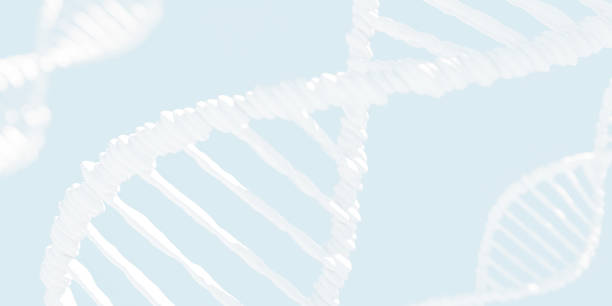 istock 3D rendering of DNA strands over light blue background 1482765657