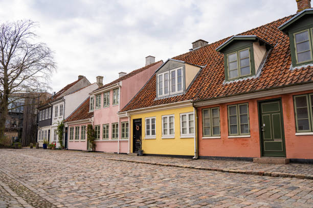 istock Historical Buildings in Odense 1482768767