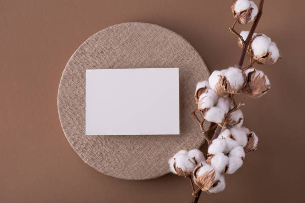 istock Cotton branch with empty blank paper sheet card top view. Minimal composition from natural cotton flowers for design, blogging or branding in flat lay. 1482769008