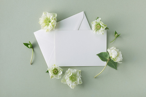 Greeting card trendy mockup or invitation template with empty blank paper sheet decorated fresh flowers top view and flat lay style.