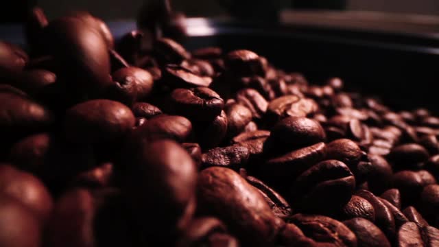 Coffee Beans Spins stock video