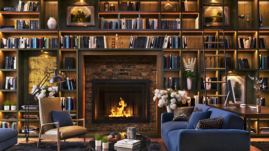 Beautiful living room with fireplace and large library