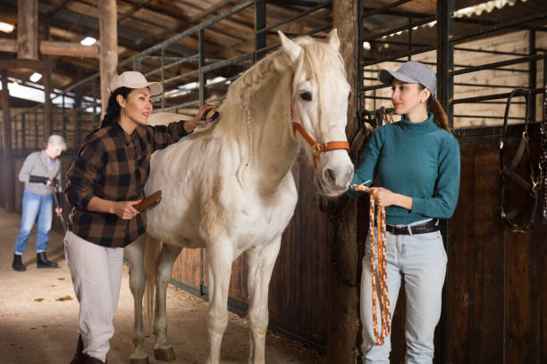 istock Female workers brushing after riding white racehorse in stable 1482770517