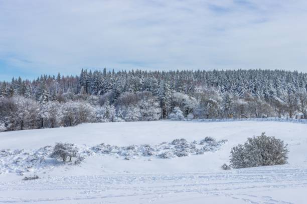 istock Scenic mountain landscape featuring snow-covered trees against a cloudy sky 1482770671
