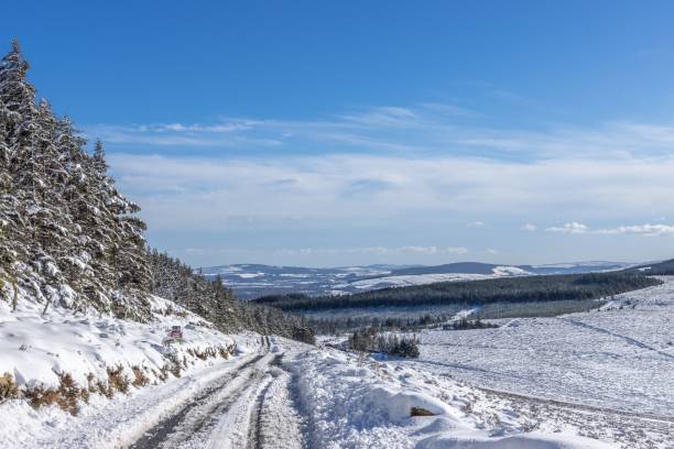istock Scenic view of a snow-covered hillside with trees featuring a winding road 1482770715