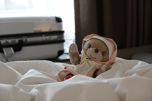 During a period of travel, rest in the hotel, a little teddy bear.