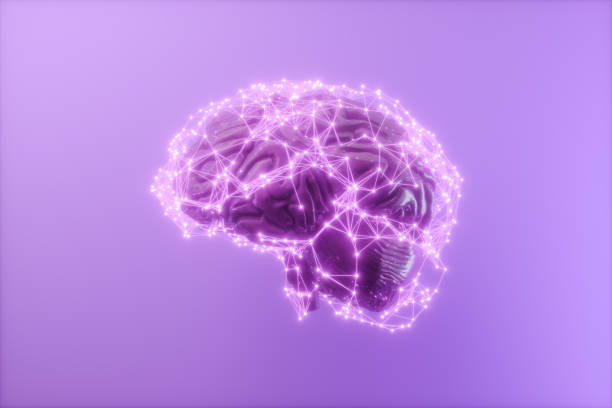 cérebro humano 3d com pontos de conexão e linhas de plexo. conceito de inteligência artificial e deep learning. renderização 3d - brain cerebellum synapse science - fotografias e filmes do acervo