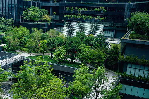 A view of the office building through green trees in front,True Digital Park is located in the eastern part of Bangkok. Close to Punnawithi BTS station and located in the heart of Thailand's digital innovation district