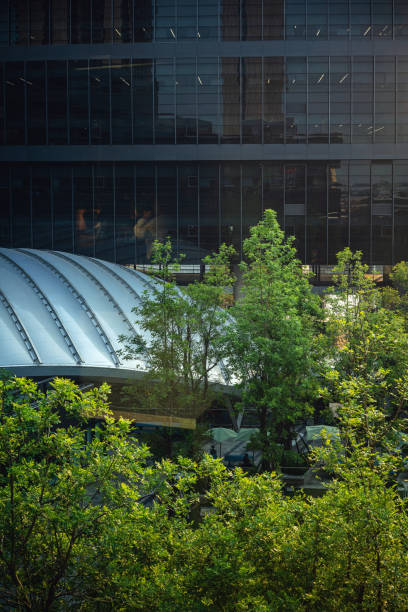 istock Business district and green 1482775971
