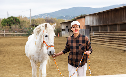 Smiling skilled asian horsewoman training white horse in outdoor riding arena, leading obedient animal by bridle