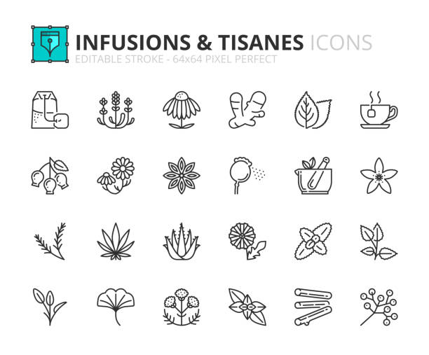 ilustraciones, imágenes clip art, dibujos animados e iconos de stock de conjunto simple de iconos de contorno sobre infusiones y tisanas. - herbal medicine herb sage spice