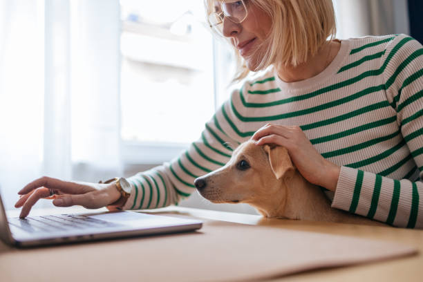 istock Happy Woman Hands Using A Laptop Computer While Sitting With Her Dog At Home 1482780892