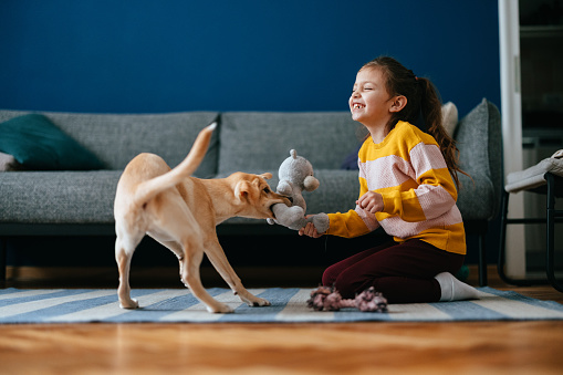 Adorable little smiling girl sitting in the living room and having fun while playing with her dog.