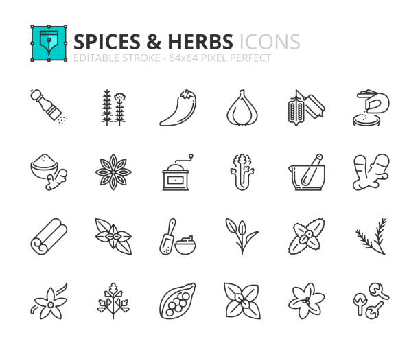 ilustrações de stock, clip art, desenhos animados e ícones de simple set of outline icons about spices and herbs - cardamom cinnamon mortar and pestle herb