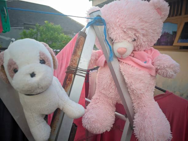 istock a cute white stuffed dog and a cute pink teddy bear on a clothesline 1482790372