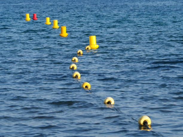 istock Yellow buoys on the sea surface 1482790639