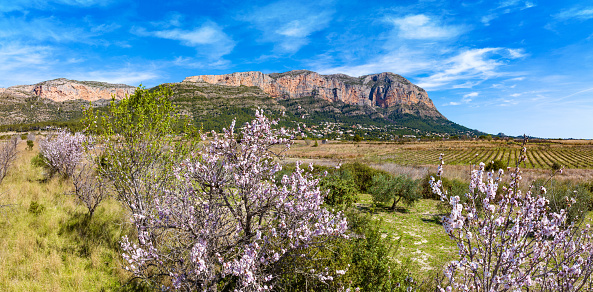 Javea Xabia from Montgo Mountain Mongo in sunny spring almond blossom in Alicante of Spain