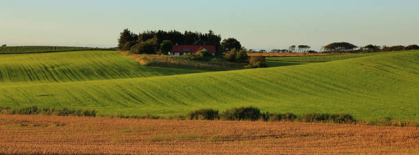 istock Rolling hills. Rural summer landscape in Gottrup, Denmark. 1482792758
