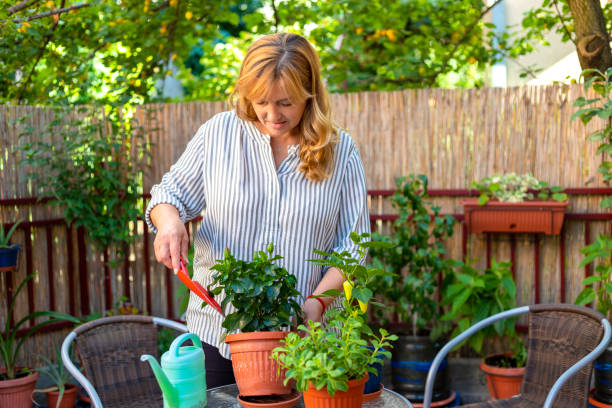 バルコニーガーデンで植物の世話をする美しい成熟した女性 - women large build gardening outdoors ストックフォトと画像