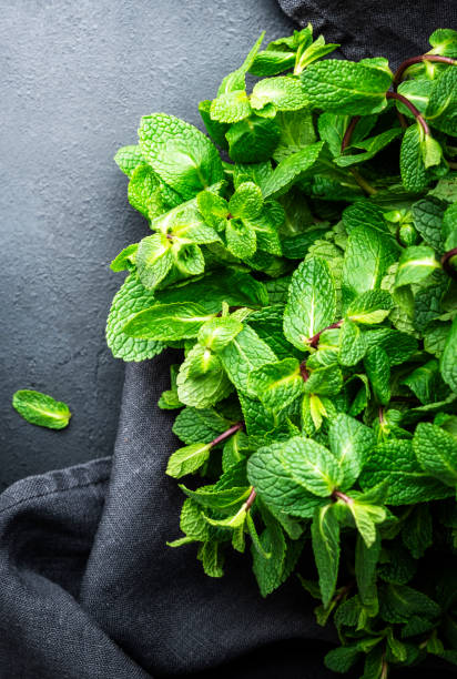 istock Fresh green mint on black stone table background. Medicinal and culinary plant, close-up, top view 1482800197