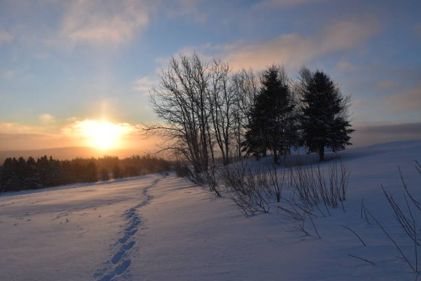 istock Un matin froid 1482801790