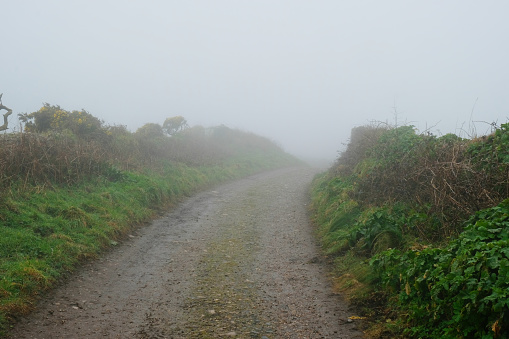 Single track Cornish lane shrouded in mist