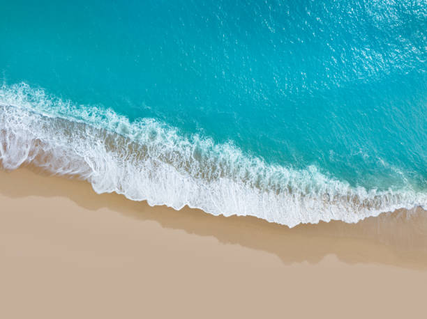 istock Tropical beach turquoise clear water and clear sand aerial drone view 1482802648