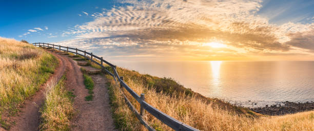 istock Hallett Cove coastline with boarwalk 1482806588