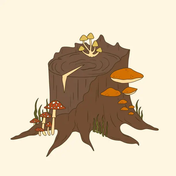 Vector illustration of Hand drawn old stump with mushrooms and grass