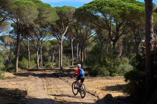 mujer pedaleando con su bicicleta de montaña eléctrica en el bosque de pinos de cabo trafalgar - pinar fotografías e imágenes de stock