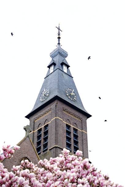 istock Church in Veghel the Netherlands 1482809111