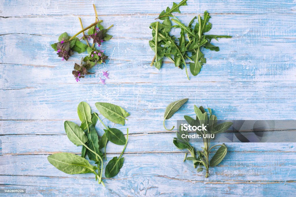 Forest healthy greens and herbs for recipes, fresh salads and stews: young dandelion leaves, sorrel (acetosa, erba brusca), sage (salvia), purple nettle on a rustic wooden background. Provencal style Alternative Medicine Stock Photo