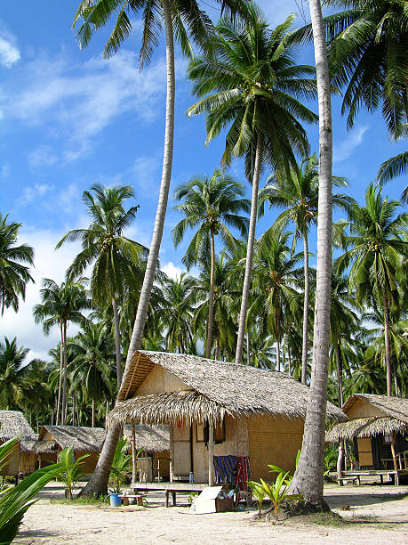 istock Tropical beach in Thailand 148281037