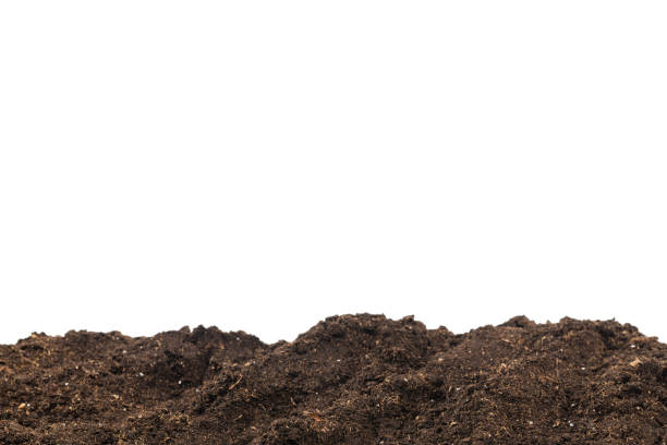istock Soil for plant isolated on white background. 1482810538
