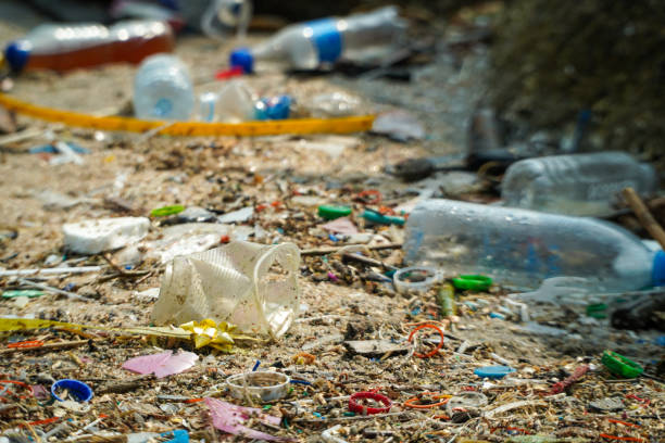 istock Plastic waste on the beach. Environmental pollution concept. Garbage on beach. Plastic at the ocean. 1482812295