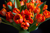 Bouquet of beautiful red and yellow tulips on a black background. Close-up, selective focus