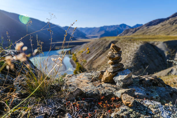 Autumn yellow landscape of the valley desert in front of majestic snow-capped high mountains. Kurai Steppe Green valley in the mountains. Yellow plateau in autumn. Golden field and forest in a mountain landscape. western siberia stock pictures, royalty-free photos & images