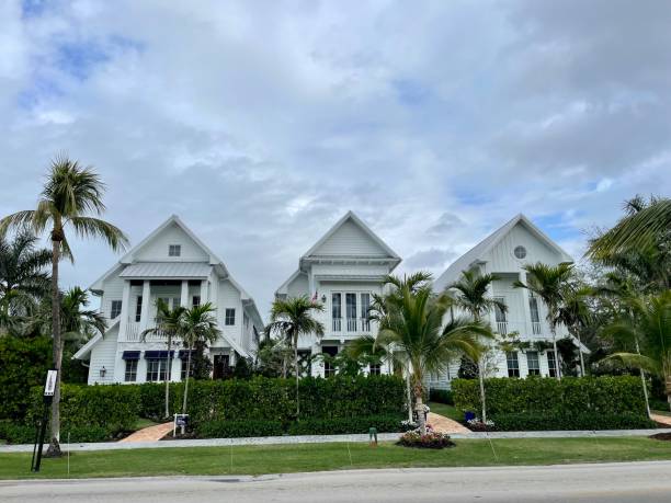 istock Pretty houses in Naples, Florida 1482813064