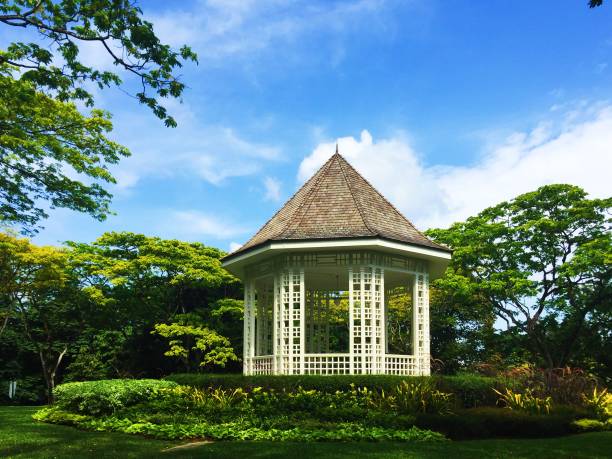 istock 158-Year-Old Tropical Garden 1482814733